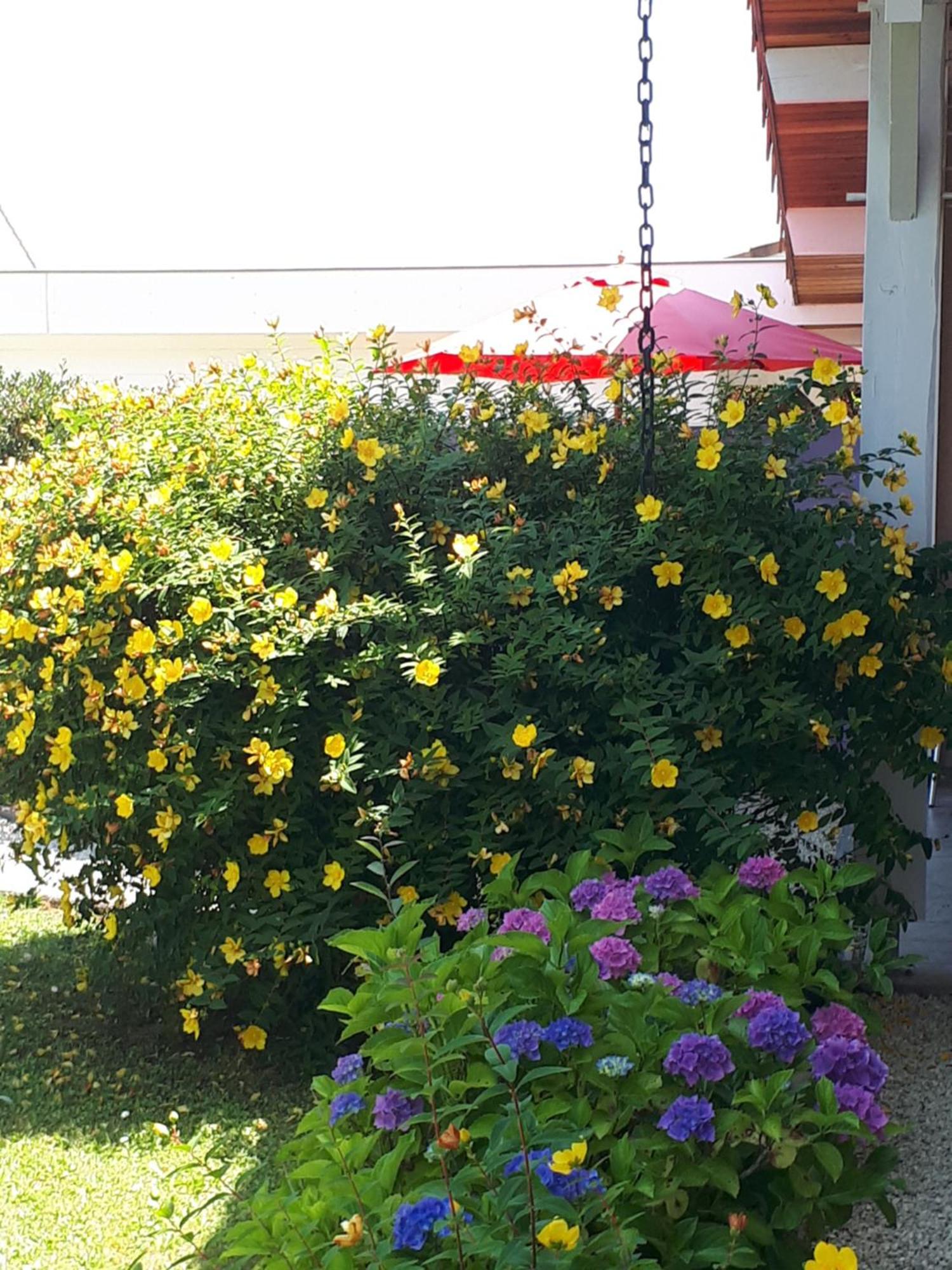 Le Soleil Couchant Angresse ห้อง รูปภาพ